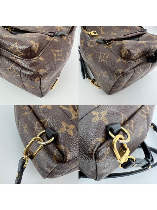 Louis Vuitton Palm Springs Mini Monogram Backpack Bag main image 8